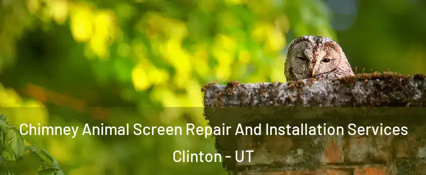  Chimney Animal Screen Repair And Installation Services Clinton - UT