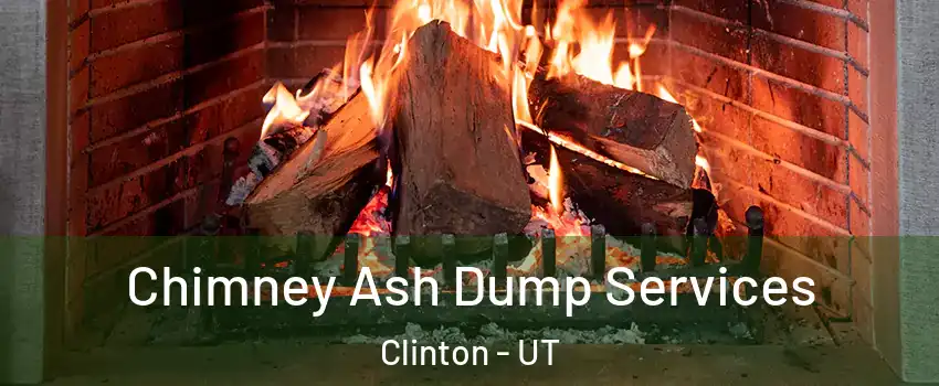  Chimney Ash Dump Services Clinton - UT