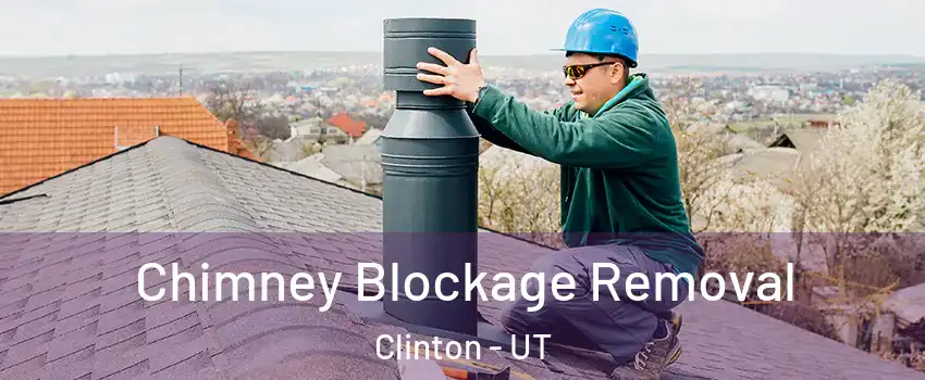  Chimney Blockage Removal Clinton - UT