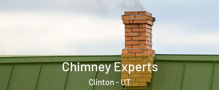 Chimney Experts Clinton - UT