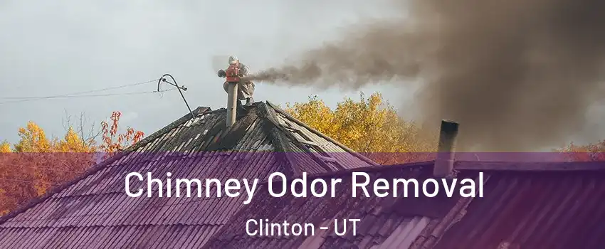  Chimney Odor Removal Clinton - UT