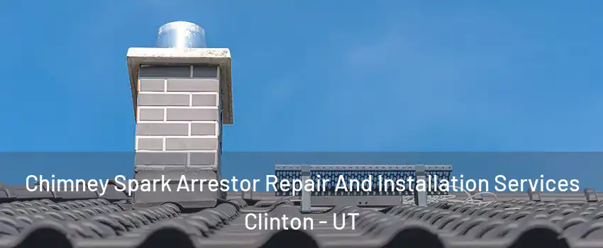  Chimney Spark Arrestor Repair And Installation Services Clinton - UT