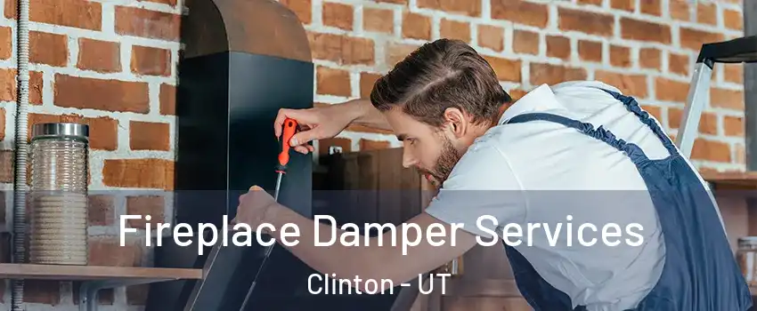  Fireplace Damper Services Clinton - UT