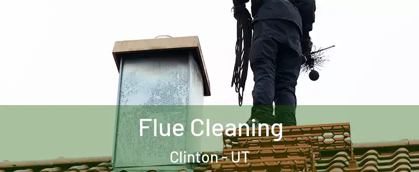  Flue Cleaning Clinton - UT