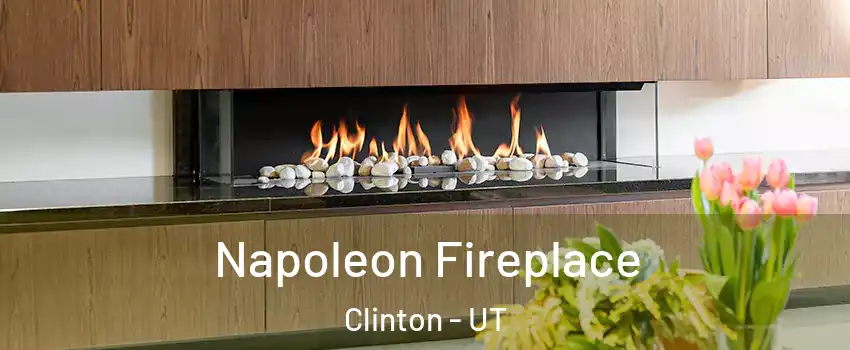  Napoleon Fireplace Clinton - UT