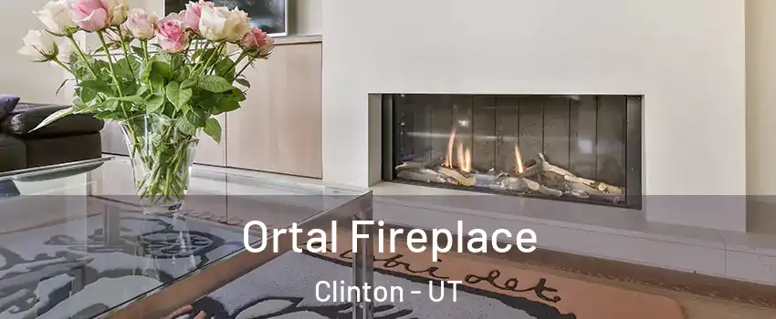 Ortal Fireplace Clinton - UT