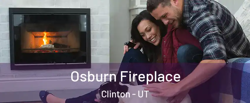 Osburn Fireplace Clinton - UT